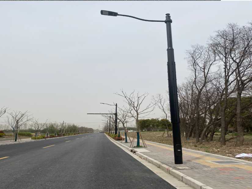耿马傣族佤族自治县上海综合杆 太阳能路灯工程